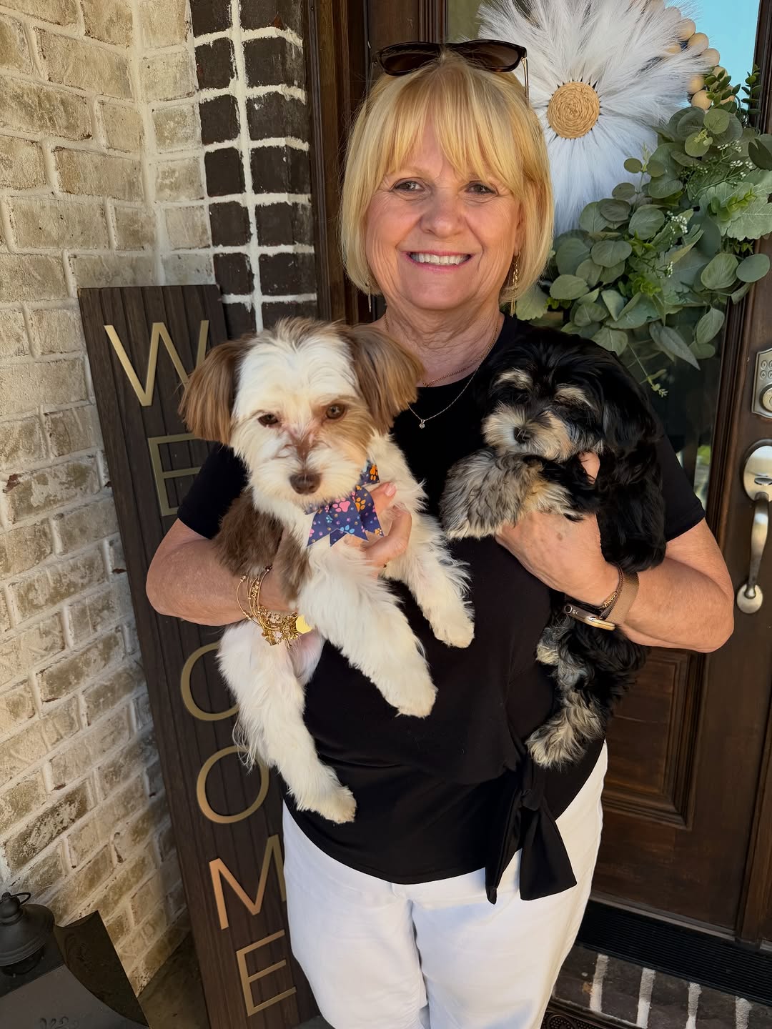 Our Morkies raised with love
