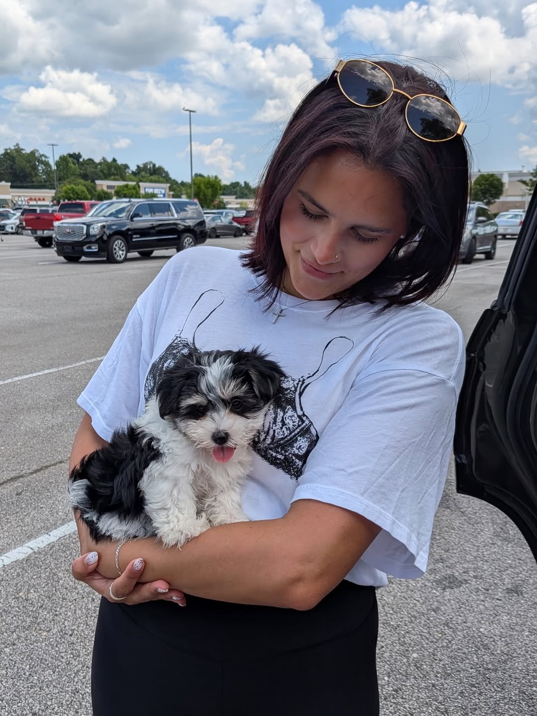 The Morkie Aura family and our happy puppy families